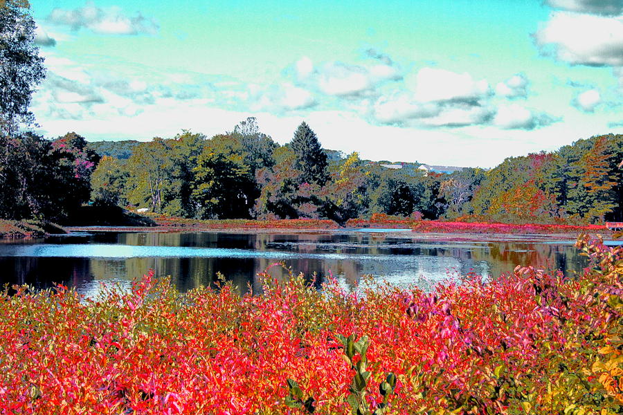 Mill Pond in September Digital Art by Cliff Wilson