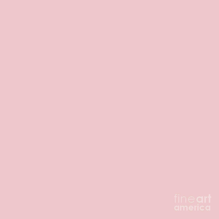 Millennial Pink Blush Rose Quartz Digital Art by Sharon Mau