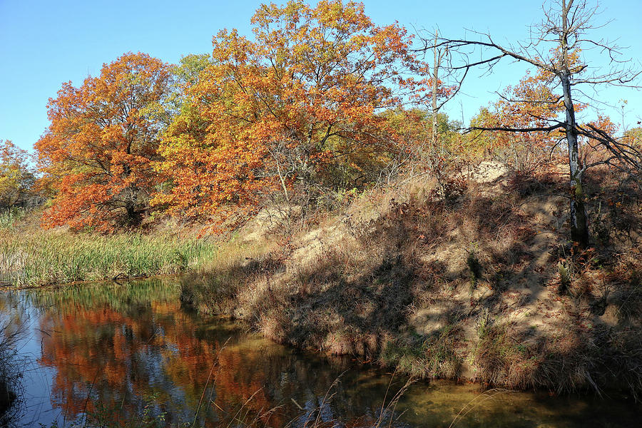 Miller Woods Autumn Photograph