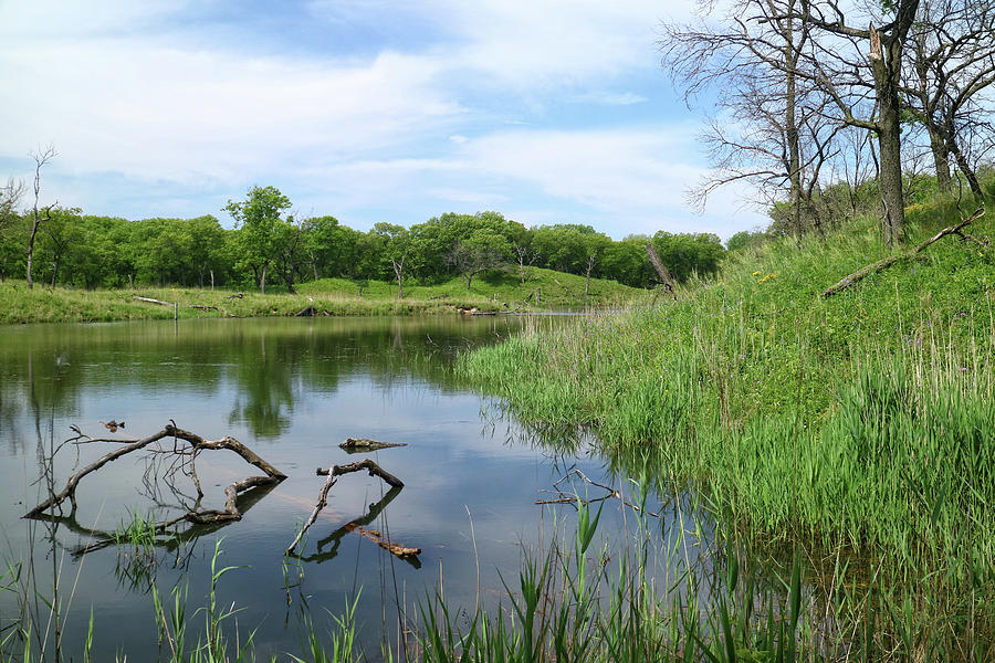 Miller Woods Pond View Photograph by Scott Kingery