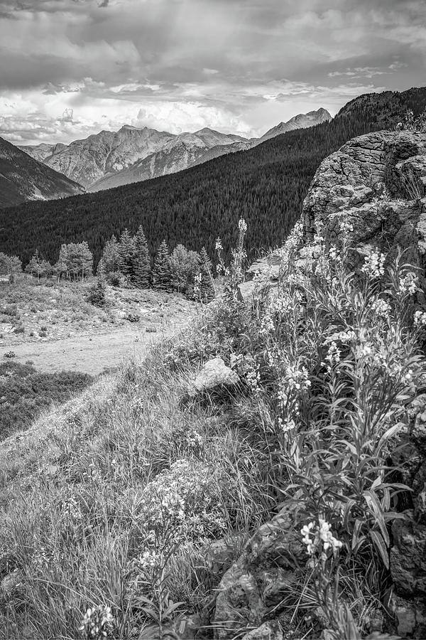 Black And White Photograph - Million Dollar Highway View - Colorado San Juan Mountains - Monochrome by Gregory Ballos