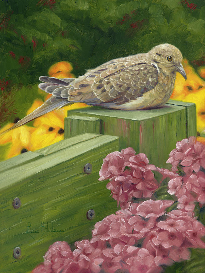 Dove Painting - Milo by Lucie Bilodeau