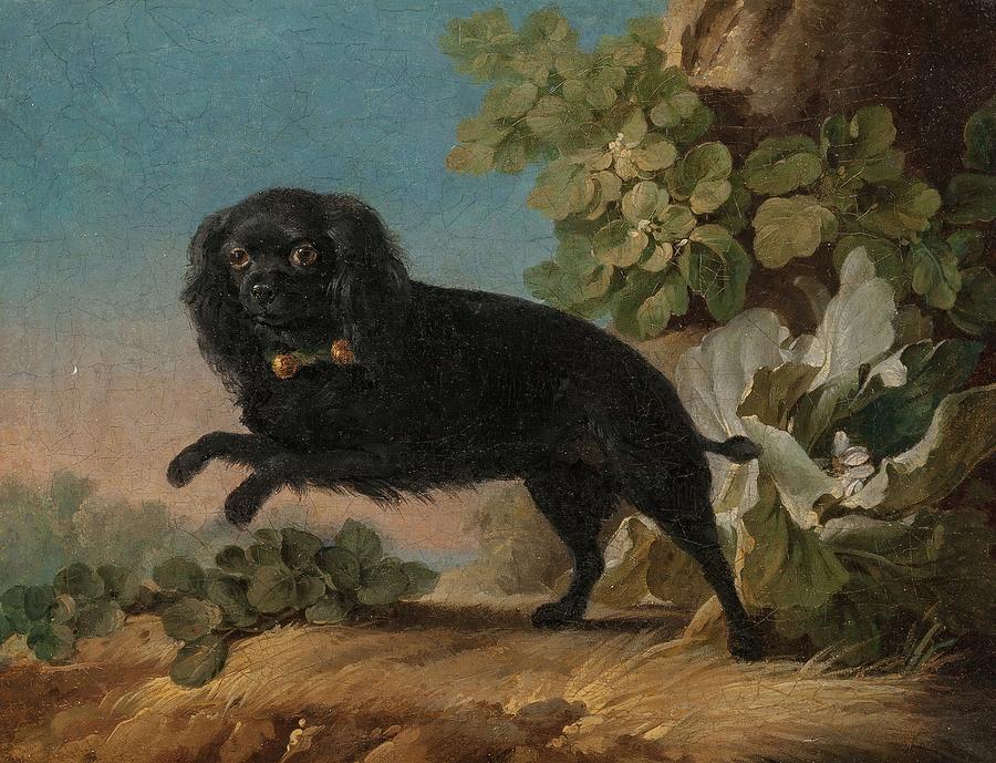 Mimi, Le Chien Favorite De Madame De Pompadour Painting by Jean-jacques Bachelier Mimi, Le Chien Favorite De Madame De Pompadour Painting by Jean-jacques Bachelier