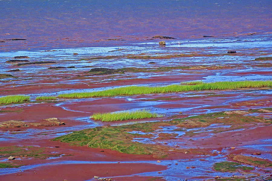 Minas Basin in Grand Pre, Nova Scotia, Canada Photograph by Ruth Hager ...