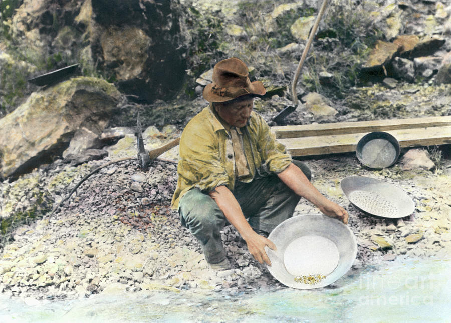 Miner Panning For Gold Photograph by Bettmann