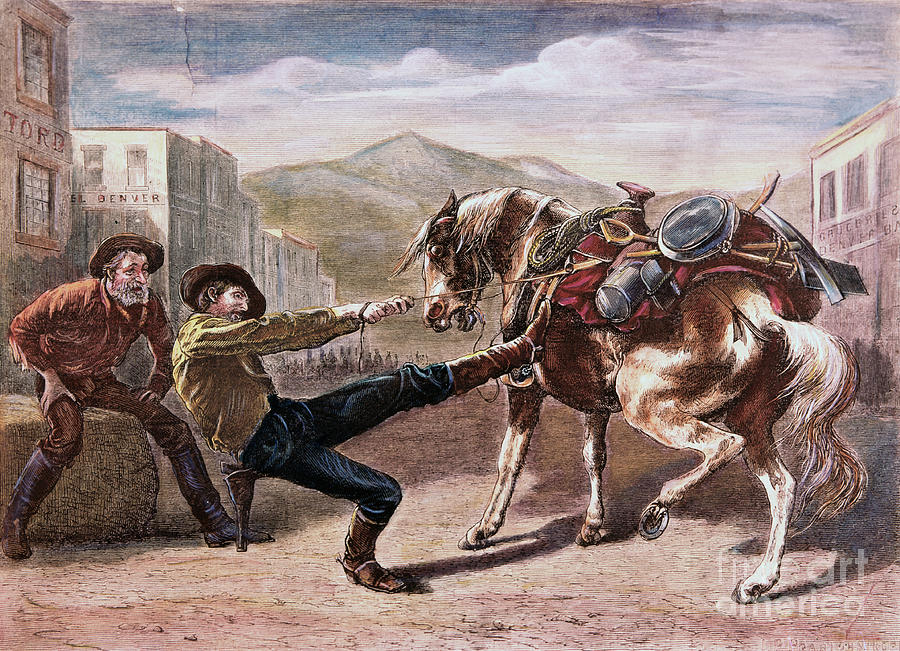 Miner Pulling Horse Photograph by Bettmann