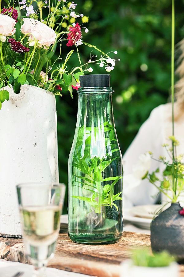 Mineral Water With Fresh Herbs In A Glass Carafe On A Garden Table Photograph by Jalag / Wolfgang Schardt
