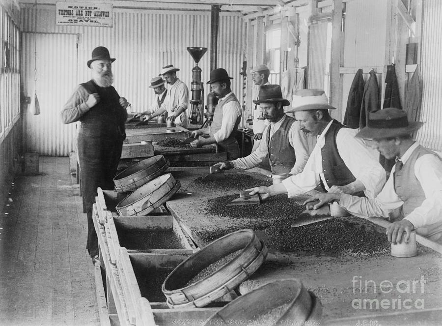Miners Sorting Diamonds From Gravel Photograph by Bettmann