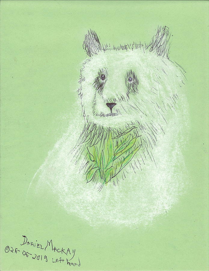 Ming the Panda by Doriel Mackay Ming the Panda by Doriel Mackay