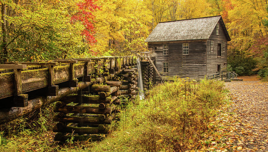 Mingus Mill All Dressed Up Photograph by Marcy Wielfaert