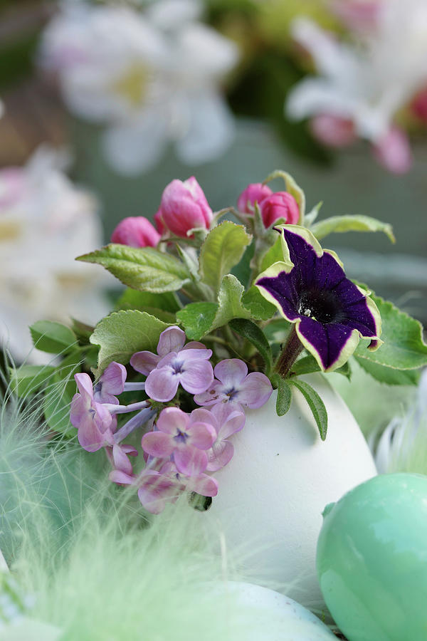 Mini-bouquet Of Lilac Blossom, Apple Blossom, And Petunias In A Duck Egg As A Vase Photograph by Angelica Linnhoff
