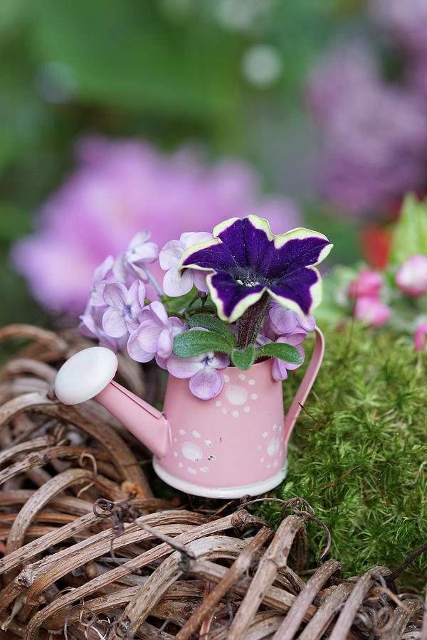 Mini-bouquet Of Lilac Blossoms And Petunias In A Decorative Watering Can Photograph by Angelica Linnhoff