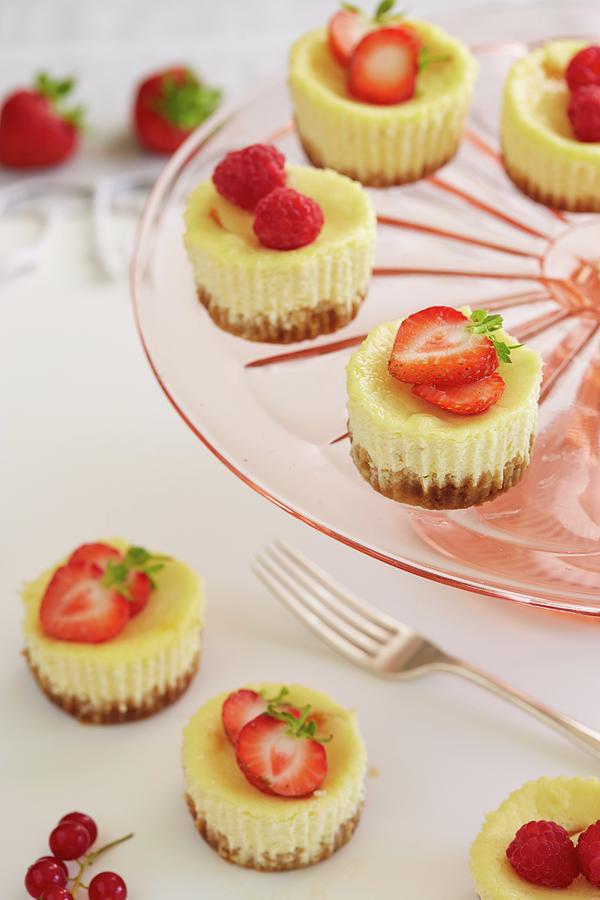 Mini Cheesecakes With Strawberries, Raspberries And Ginger Biscuit Bases On A Cake Stand Photograph by Artfeeder