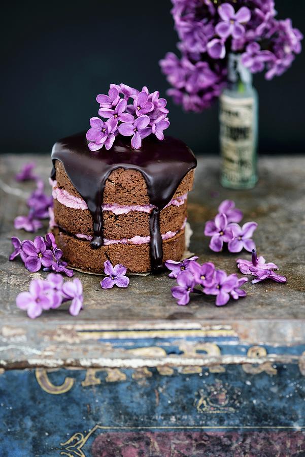 Mini Chocolate And Almond Cakes With Blackberry Butter, Chocolate Glaze And Lilac Flowers Photograph by Lucy Parissi