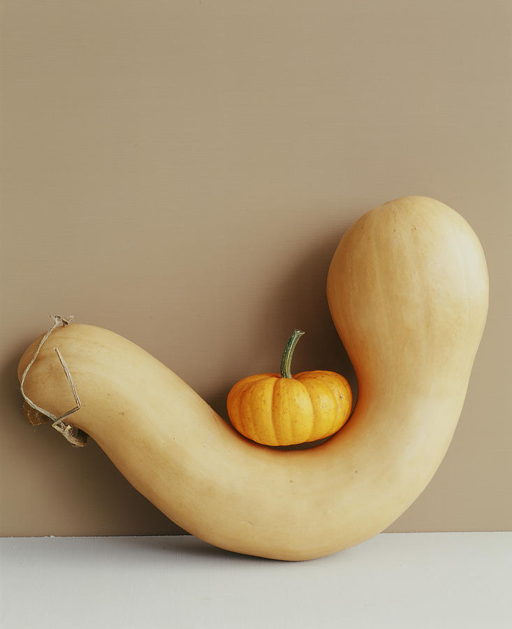 Mini Pumpkin Sitting On A Gourd Photograph by Victoria Pearson