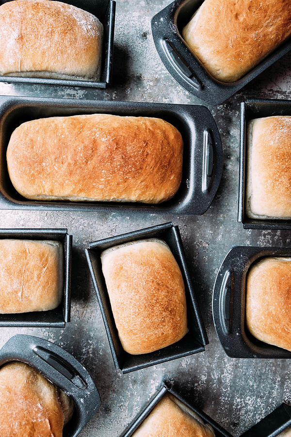 Mini White Bread Loaves In Tins Photograph by Adrian Britton