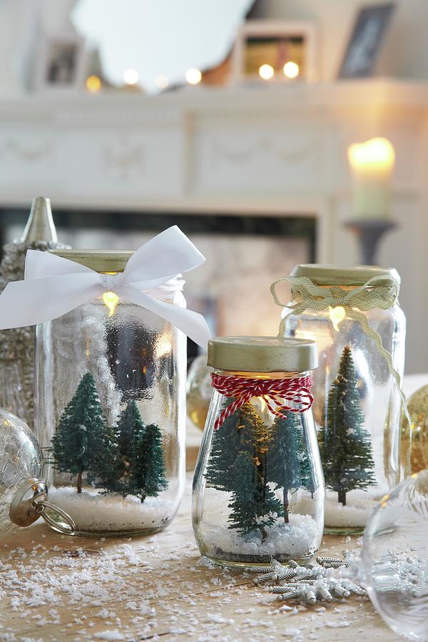 Miniature Christmas Trees In Jars Photograph by Simon Scarboro - Fine ...