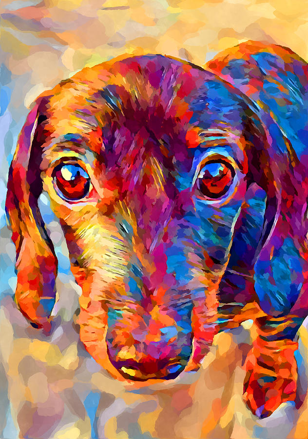 Miniature Dachshund 3 Painting by Chris Butler