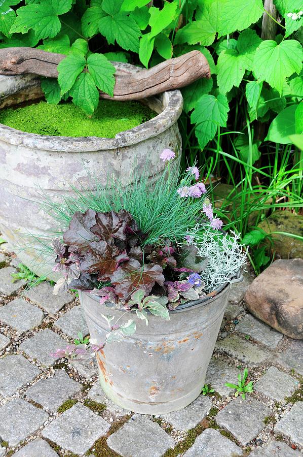 Miniature Pond In Old Terracotta Pot & Autumn Plant Arrangement In Zinc ...