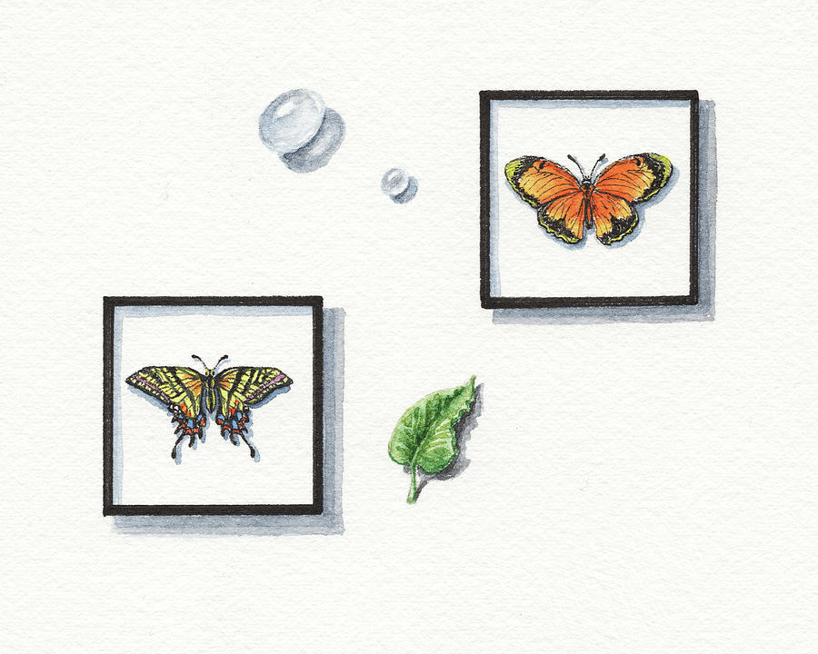 Miniature Watercolor Butterfly Collection  Painting by Irina Sztukowski