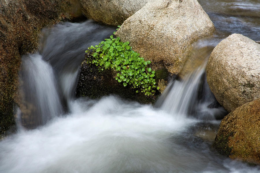Miniature Weir Photograph by Sierrarat