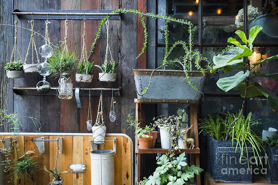No Photograph - Minimal Garden by Deardiz No Photograph - Minimal Garden by Deardiz