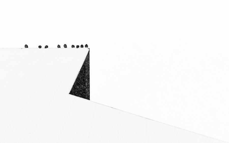 Minimal Refuge by Alan Brown Minimal Refuge by Alan Brown