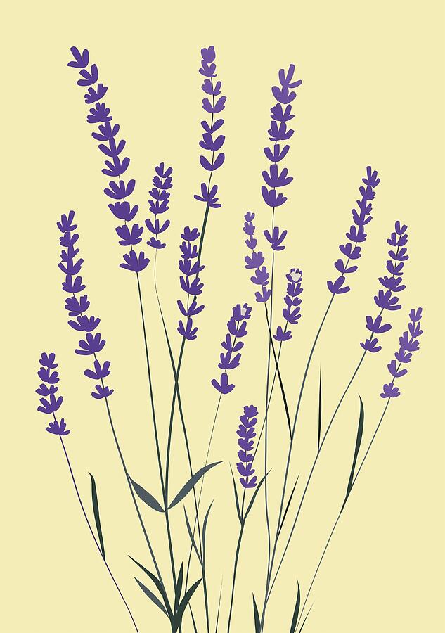 Minimalist Lavender Illustration On Yellow Background Digital Art by Trendy Art Minimalist Lavender Illustration On Yellow Background Digital Art by Trendy Art