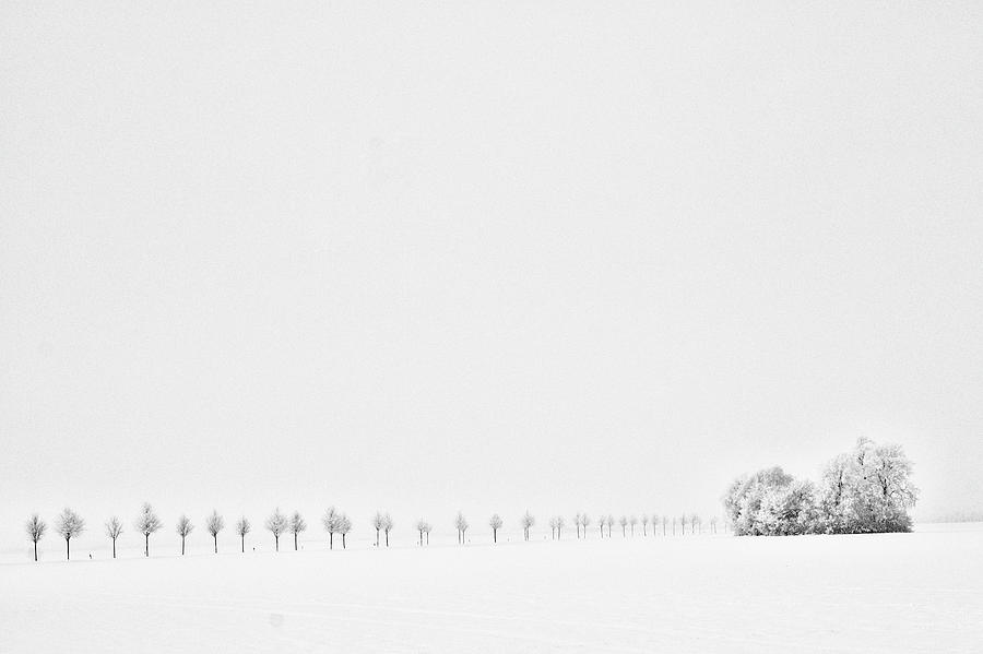 Minimalist Snow Pic With Trees Photograph by By Anna-logisch