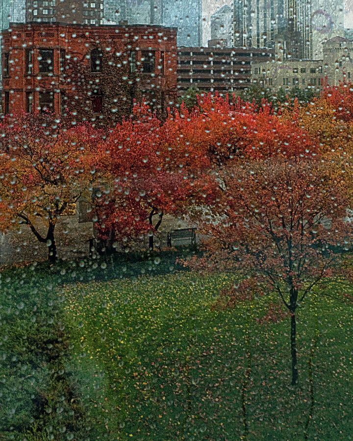 Minneapolis in the Rain Digital Art by Susan Stone