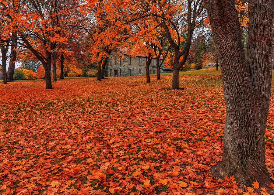 Minnehaha Autumn Photograph by Mark Kiver
