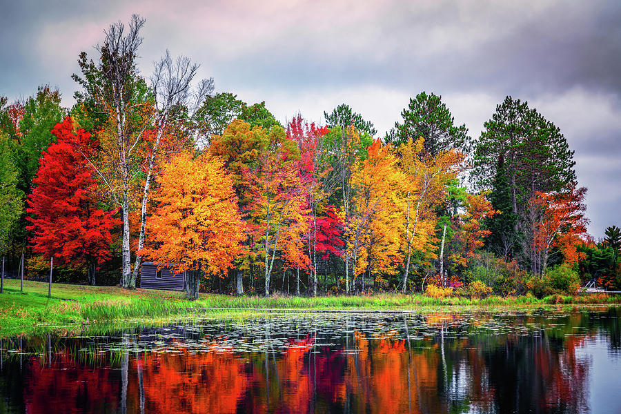 Minnesota Autumn Photograph by Framing Places