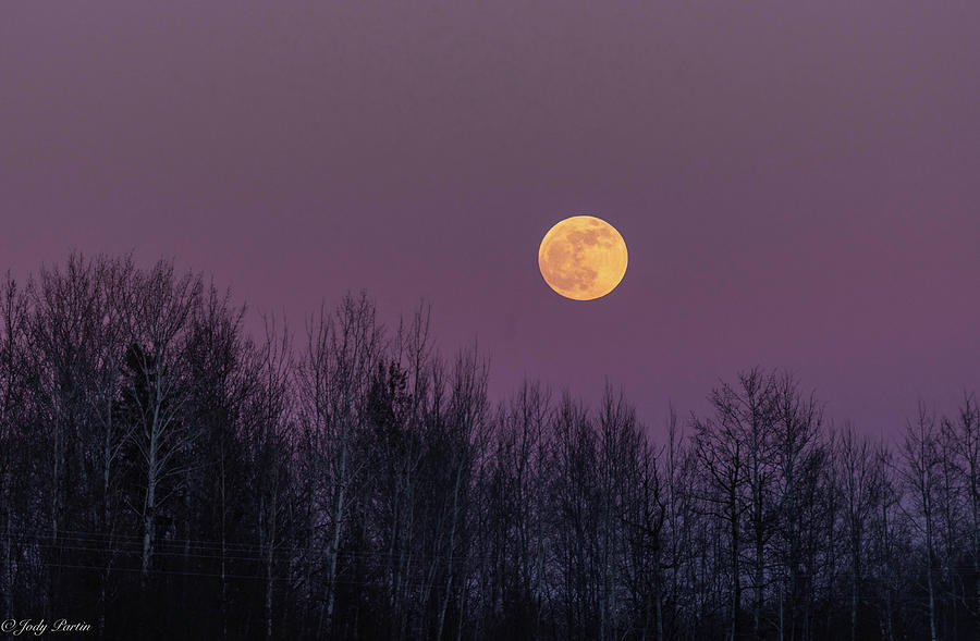 Minnesota Moonrise Photograph by Jody Partin