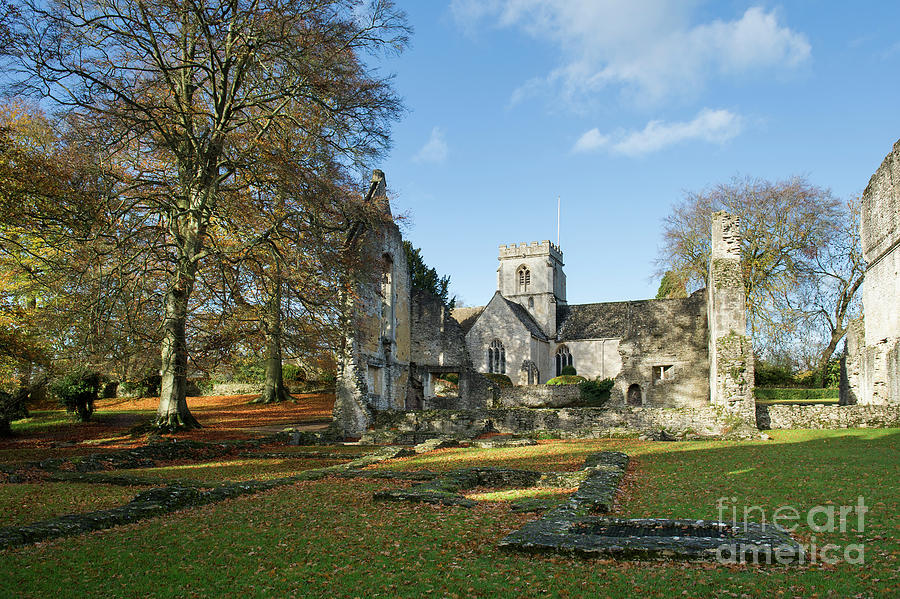 Minster Lovell Hall in Autumn Photograph by Tim Gainey