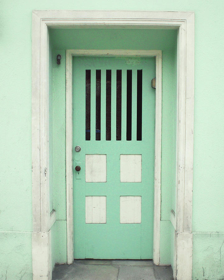 Mint Door Photograph by Lupen Grainne