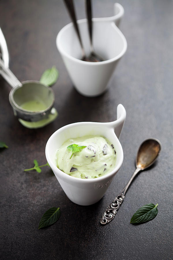 Mint Ice Cream With Chocolate Chips Photograph by Kati Finell