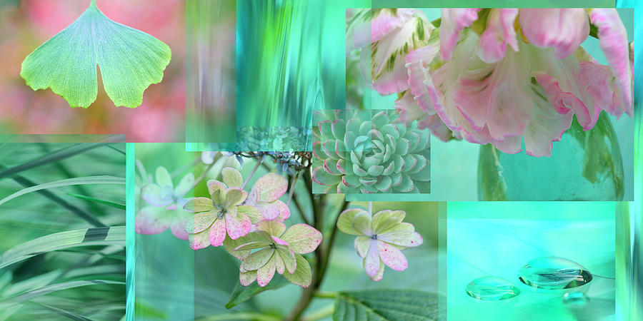 Tulip Photograph - Mint Mood Collage by Cora Niele