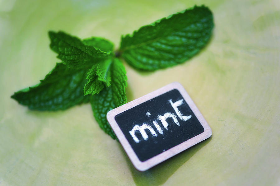 Mint Sprig And Slate Label With Mint Photograph by Alexandre Fp