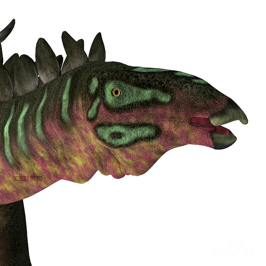 Miragaia Dinosaur Head Digital Art by Corey Ford