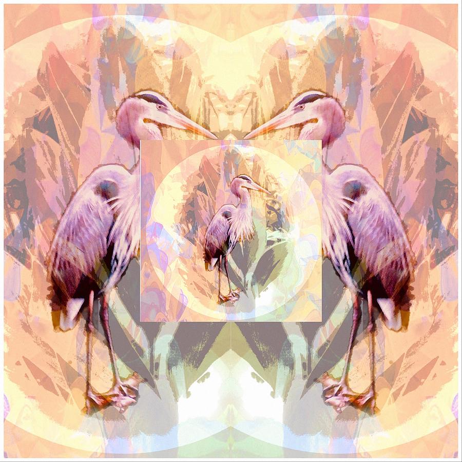 Mirror  Image  Digital Art by Don Wright