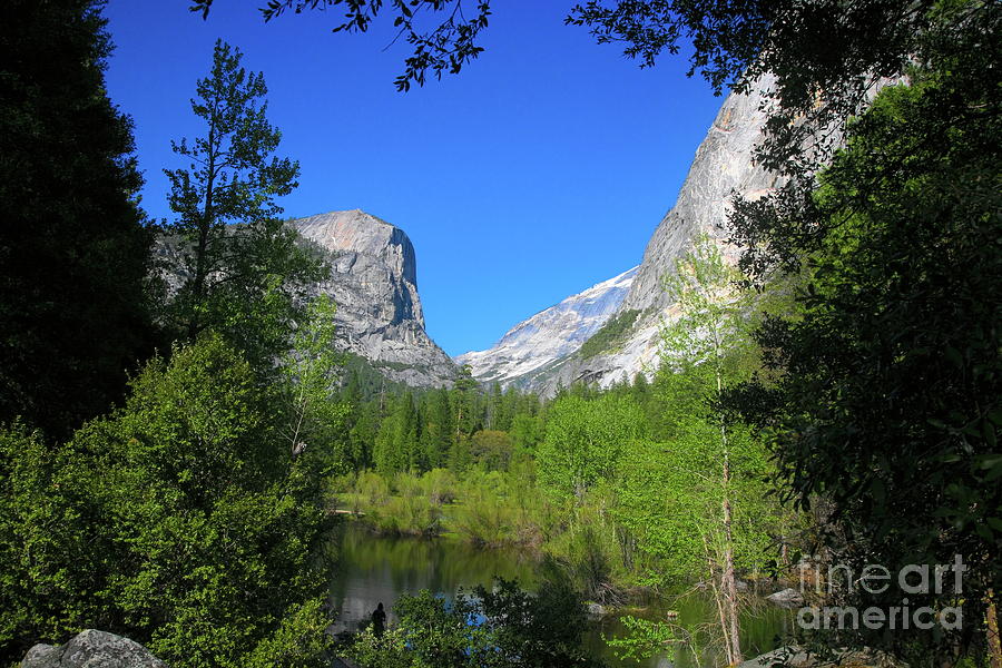 Mirror Lake Blue Sky Yosemite  Photograph by Chuck Kuhn