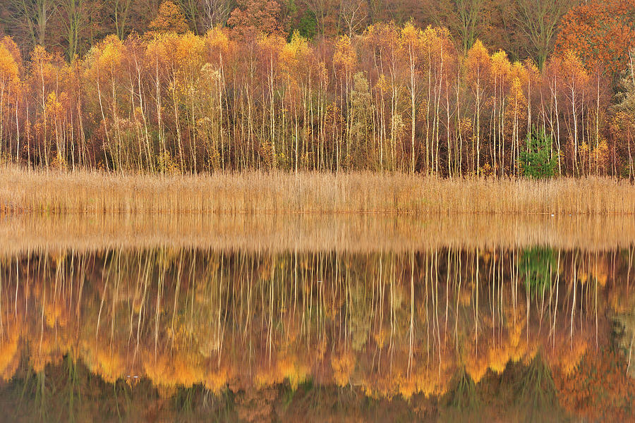 Mirror Lake In Autumn Photograph by Yves Adams