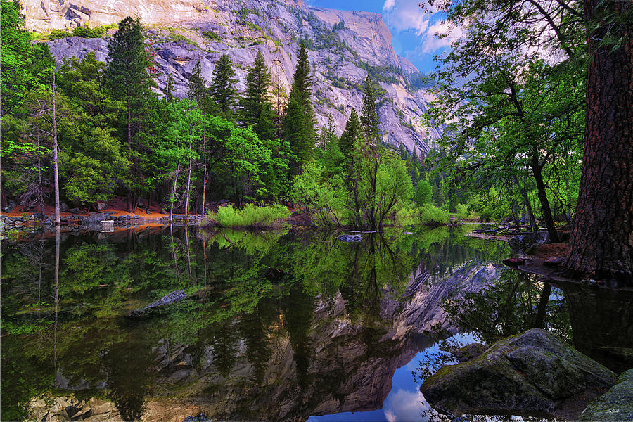 Mirror Lake Morning Reflections Photograph by Greg Norrell