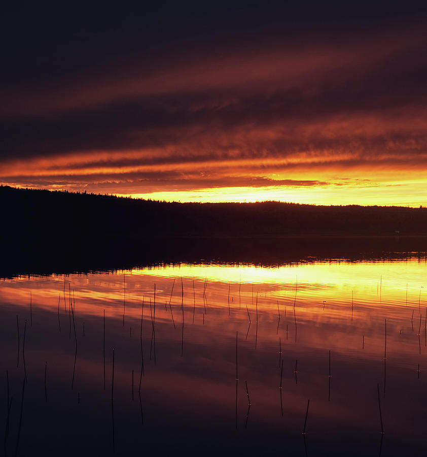 Mirror Lake Photograph by Shaunl