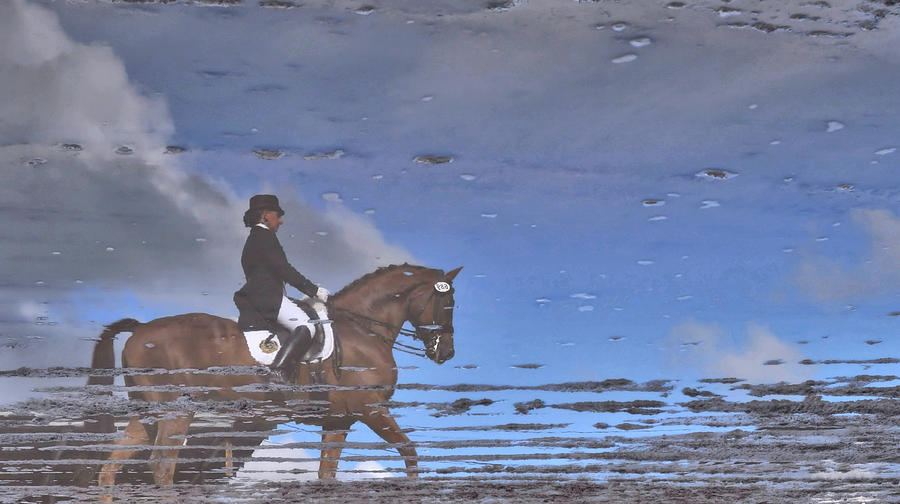 Mirror Relaxation Photograph by Dressage Design