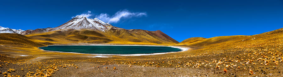 Desert Photograph - Miscanti Lake II by Edgar De Brito