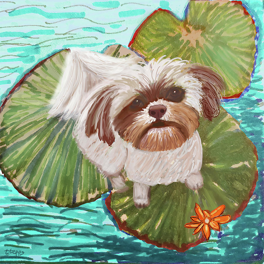 Mischievous Shih Tzu by Teresa Epps Mischievous Shih Tzu by Teresa Epps