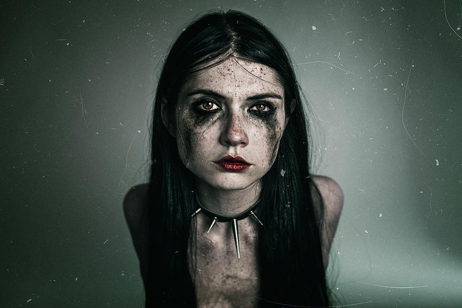 Raven Photograph - Misery by Katarina Grajcarikova