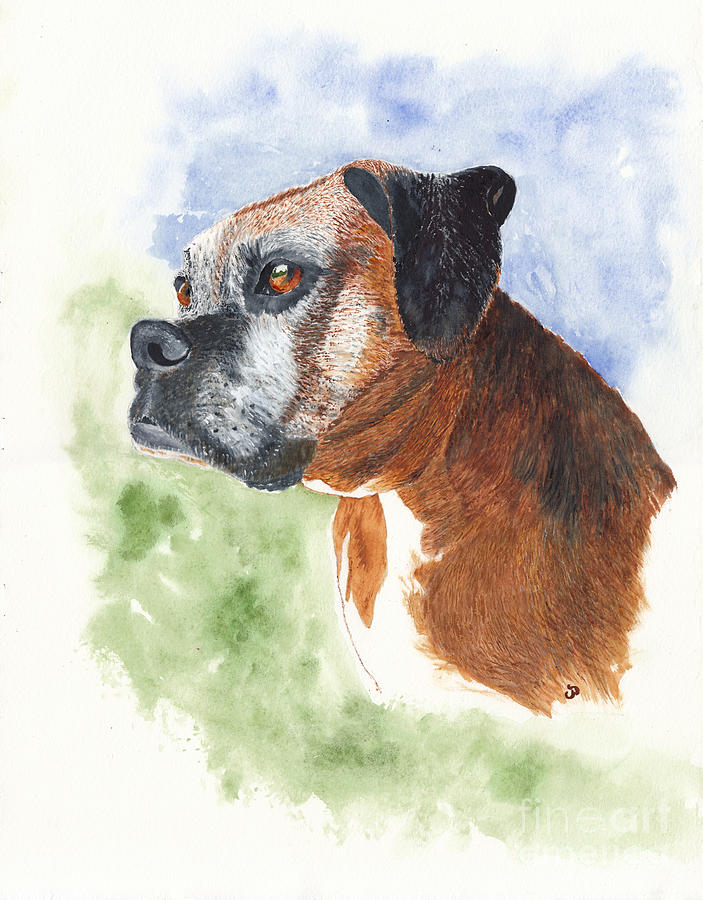 Miss B Boxer Dog Portrait Painting by Conni Schaftenaar