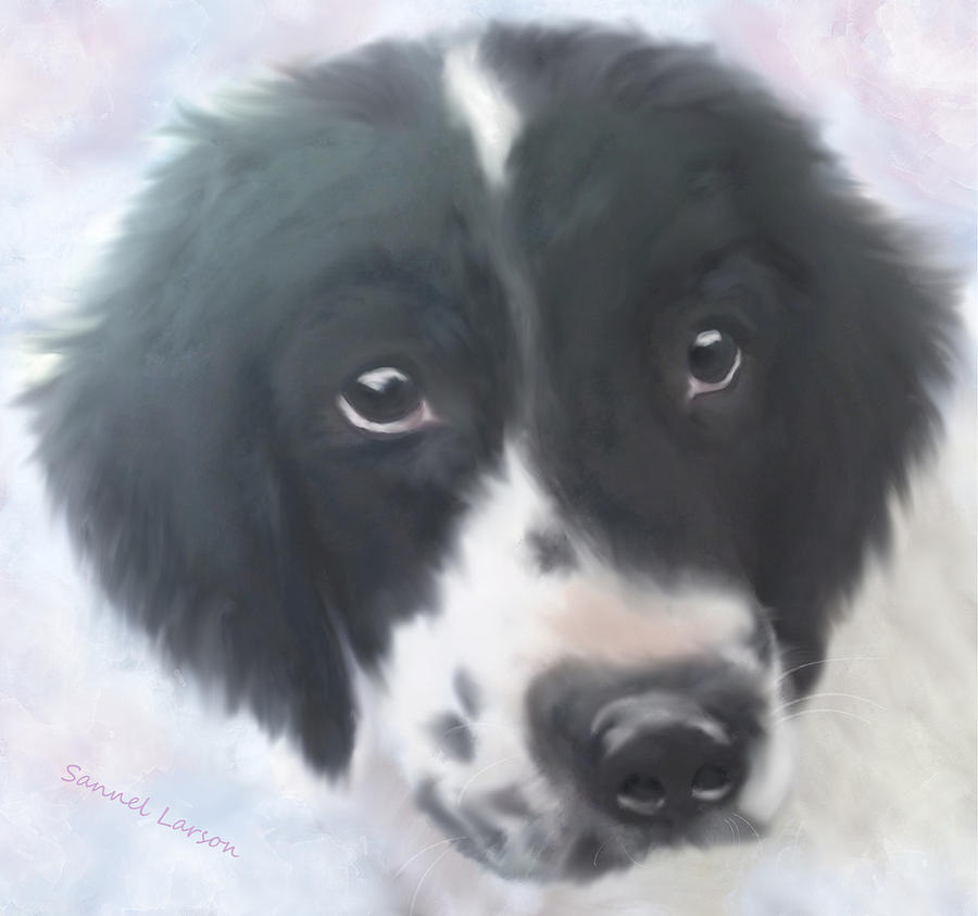 Miss Fannie by Sannel Larson Miss Fannie by Sannel Larson